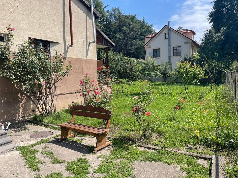 Day, Garden, Garden view