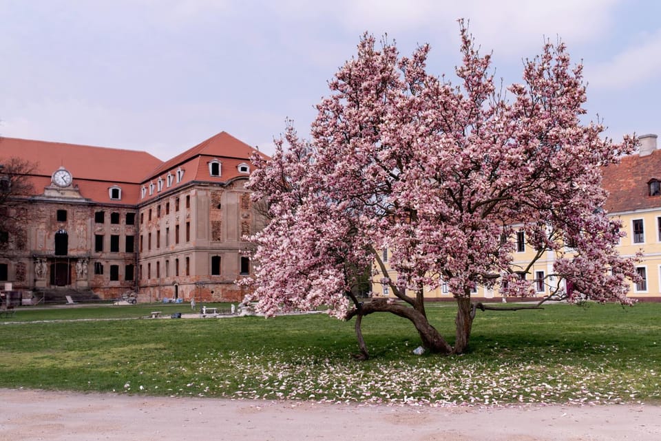 Pałac Brody Bed and Breakfast in Poland