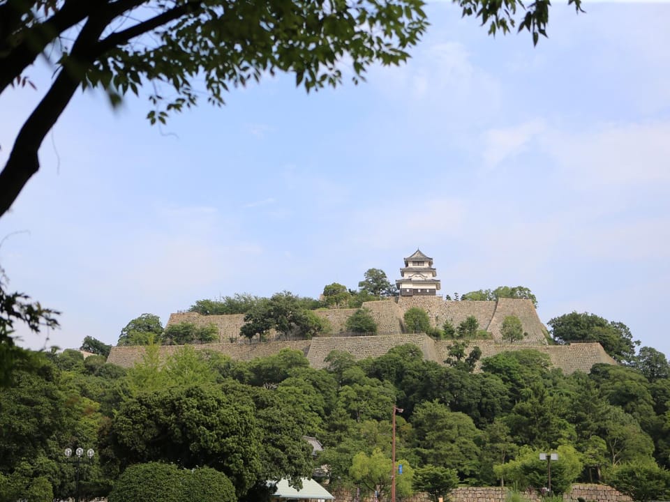 Nearby landmark, Neighbourhood