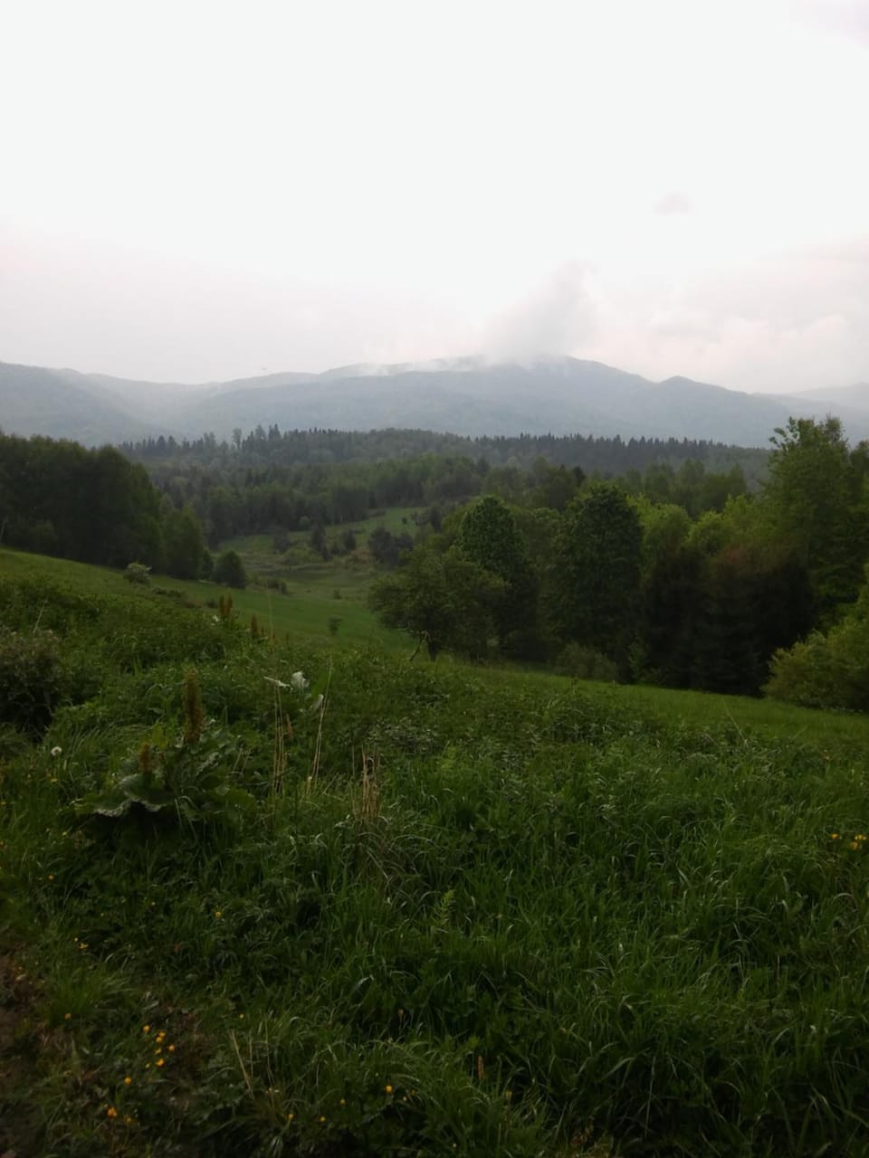 Natural landscape, Mountain view