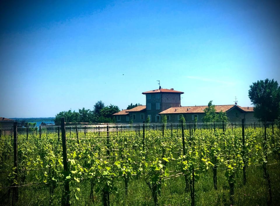 Spring, Day, Natural landscape, Landmark view