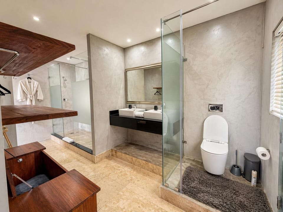 Shower, Toilet, Bathroom, wardrobe