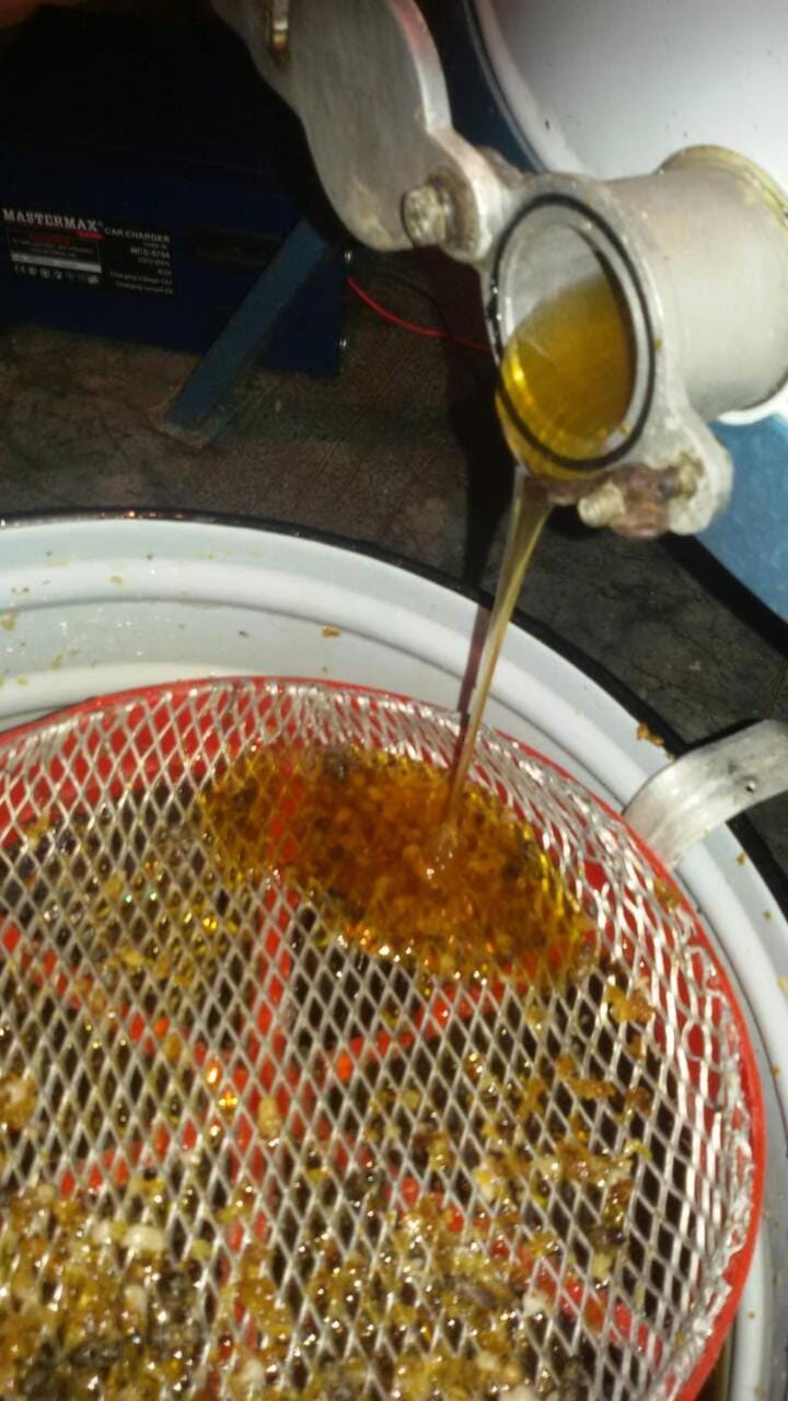 MS Stojic Motel in Zlatibor District, Serbia