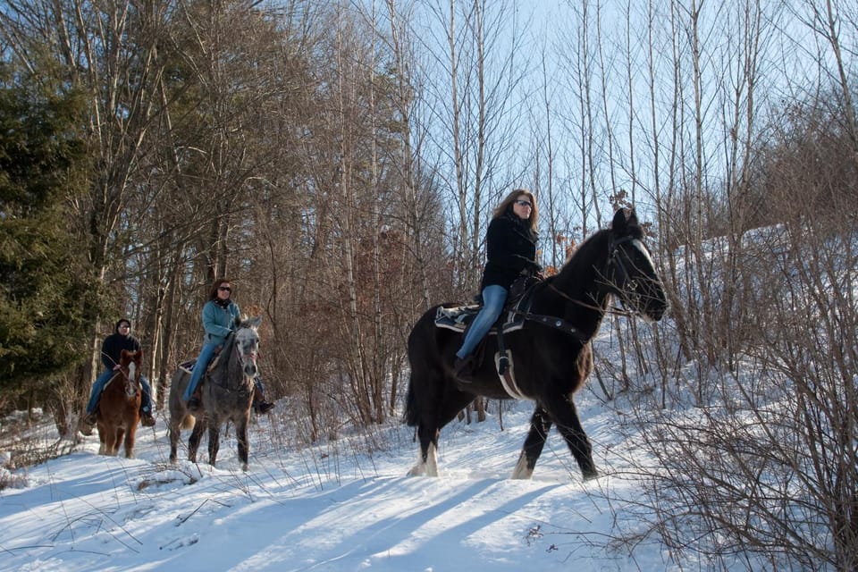 Horse-riding, On site