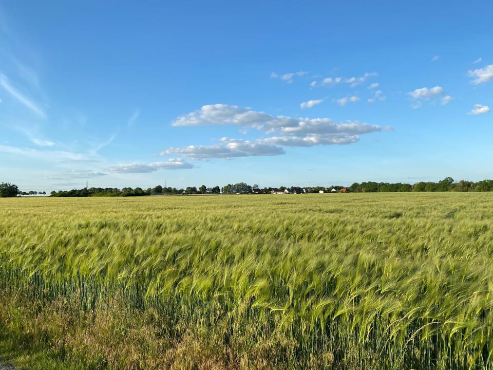 Natural landscape