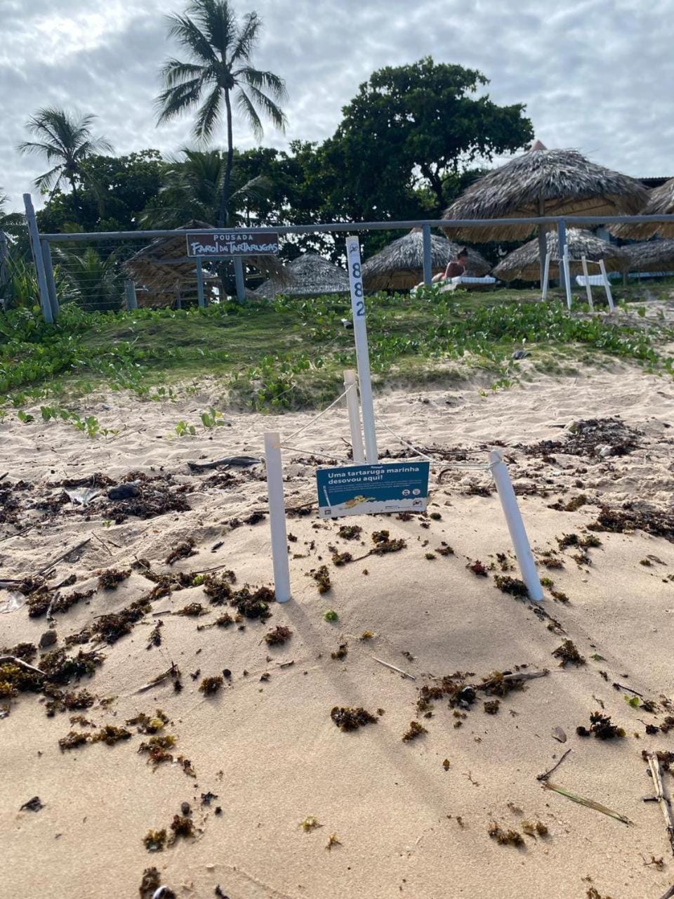 Pousada Farol das Tartarugas Inn in Praia do Forte