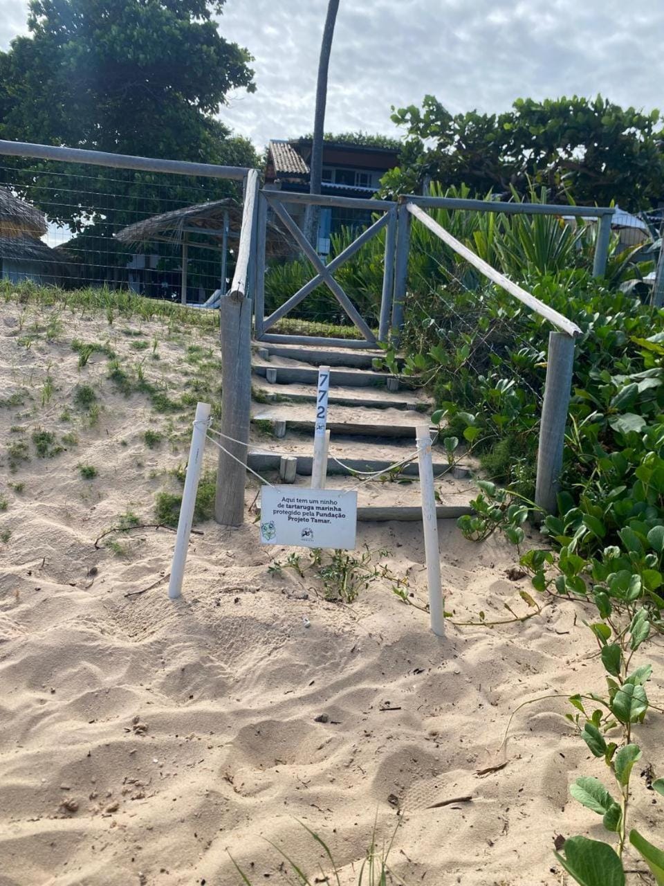 Pousada Farol das Tartarugas Inn in Praia do Forte