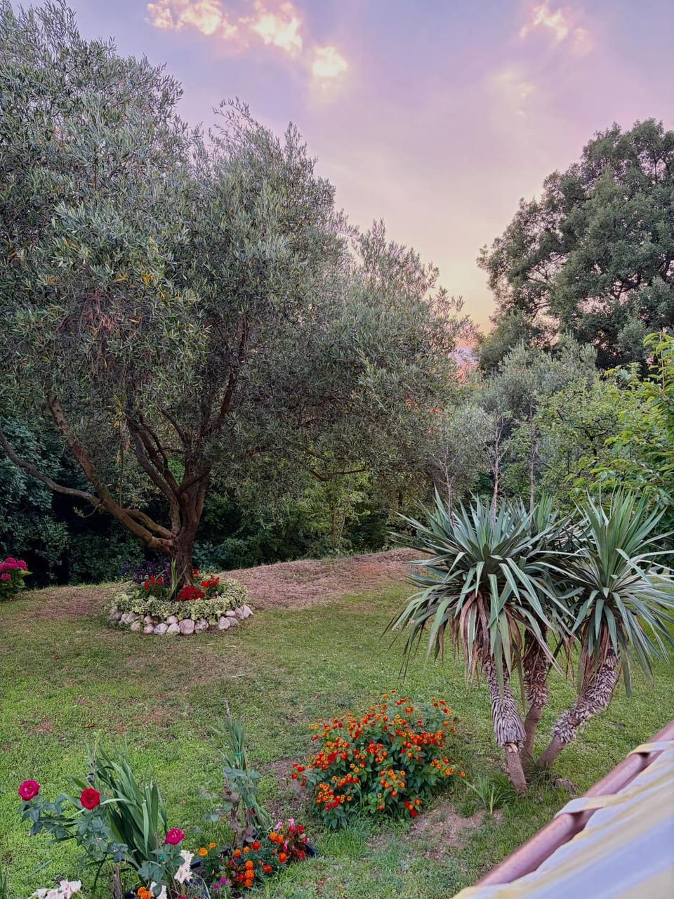 Apartmani "Dukic" Apartment in Kotor Municipality