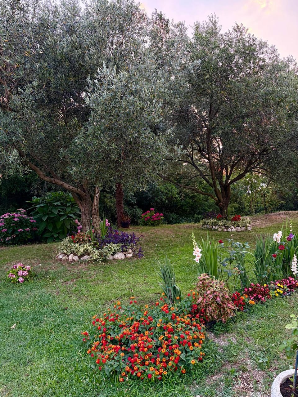 Apartmani "Dukic" Apartment in Kotor Municipality