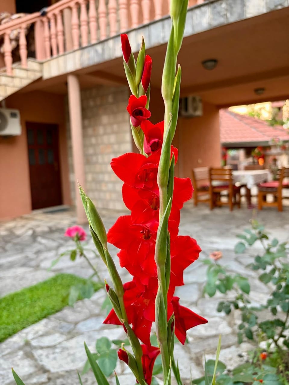 Apartmani "Dukic" Apartment in Kotor Municipality