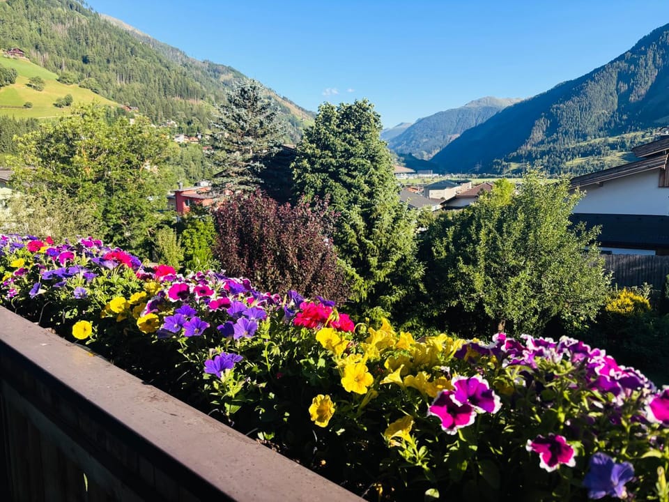 Garden view, Mountain view