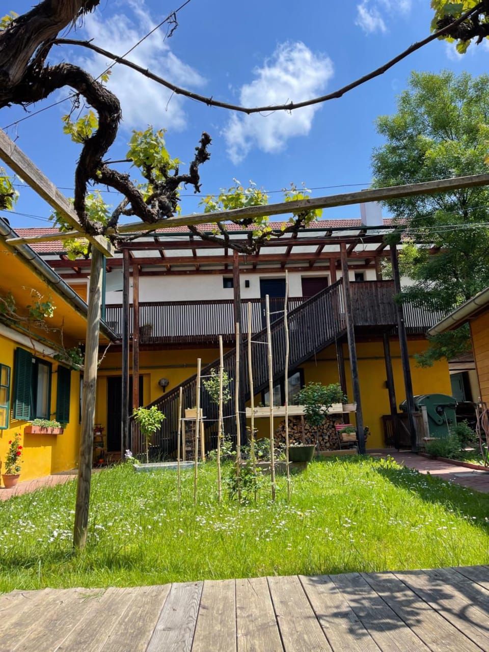 Patio