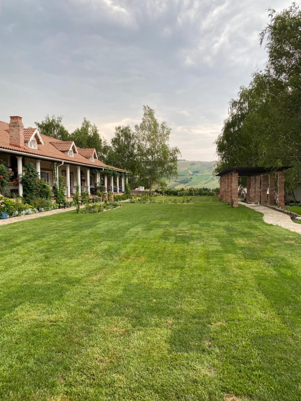 Garden view
