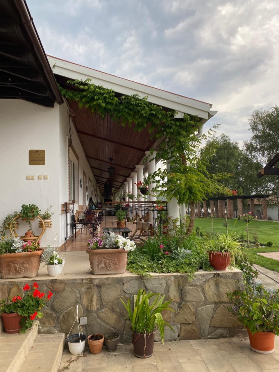 Garden view