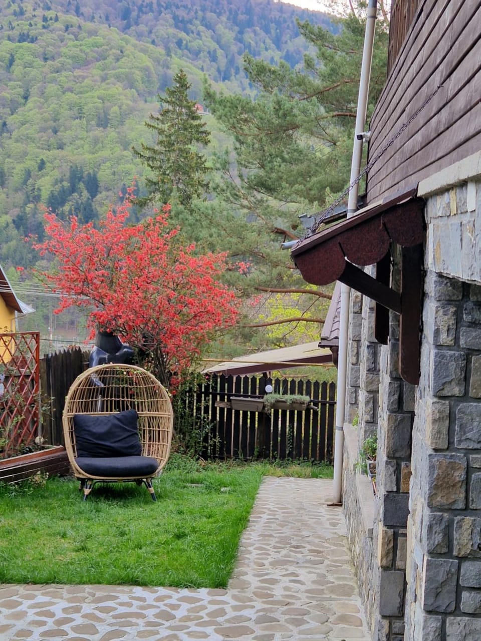 Pensiunea Nick Apartment in Sinaia