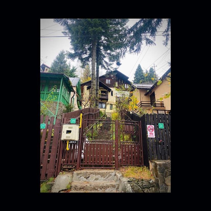 Pensiunea Nick Apartment in Sinaia
