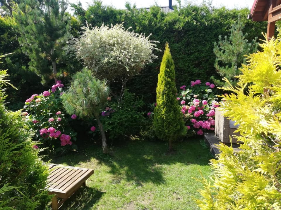 Domki Cyprys Nature lodge in Pomeranian Voivodeship