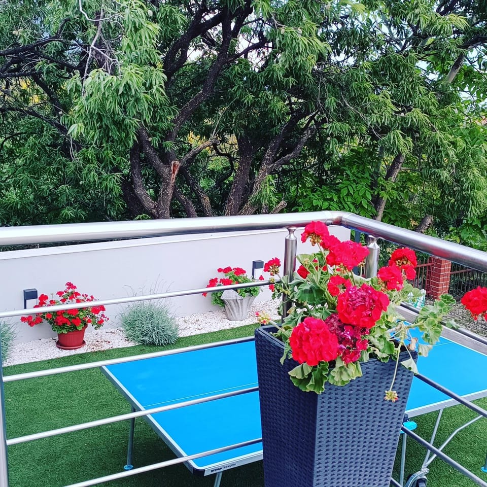 Modern apartment with heated pool&sea view Apartment in Šibenik-Knin County, Croatia