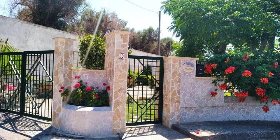 Spring, Garden, Garden view