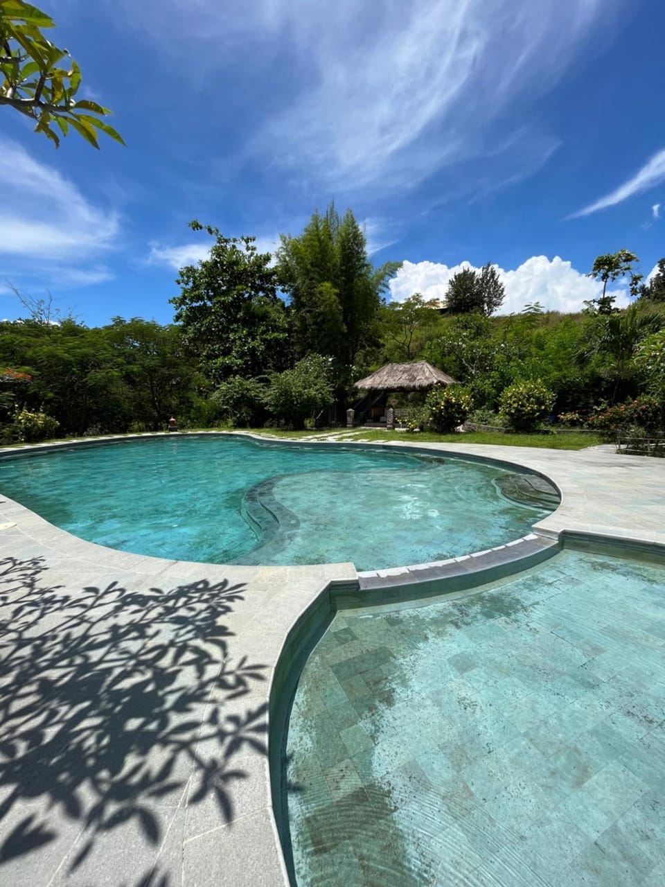 Natural landscape, Garden, Pool view, Swimming pool