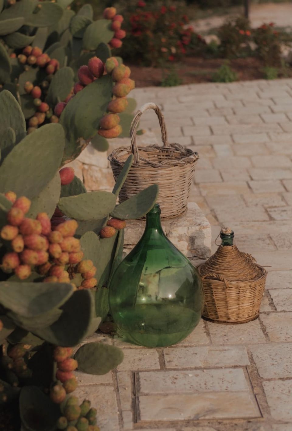 Dimora Le Ginestre Adults Only Bed and Breakfast in Province of Taranto