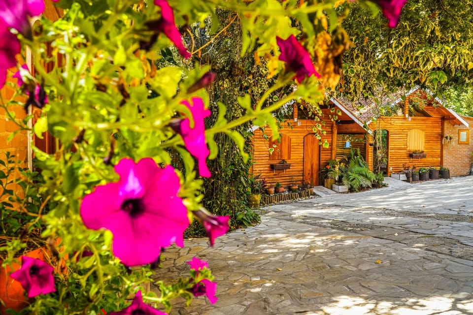 Property building, Garden, Garden view