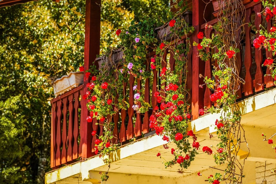 Day, Garden, Garden view