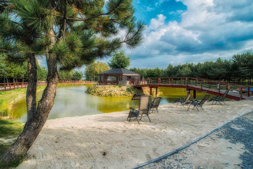 Spring, Day, Natural landscape, Fishing, Garden, Garden, Beach, Garden view, Area and facilities, Entertainment