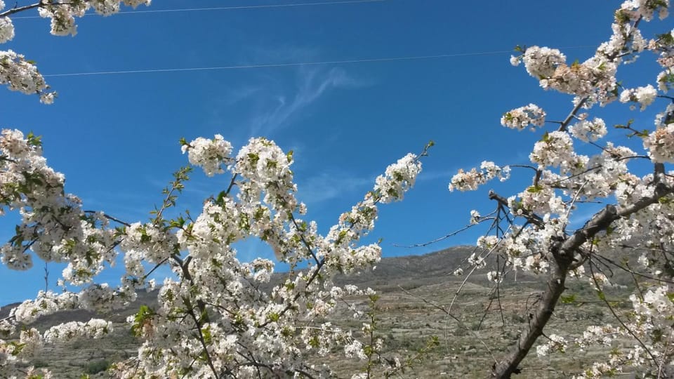 La casita del jerte Apartment in Valle del Jerte