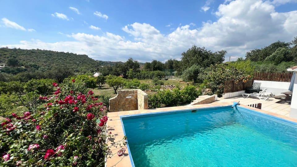 Day, Natural landscape, Garden view, Swimming pool, sunbed