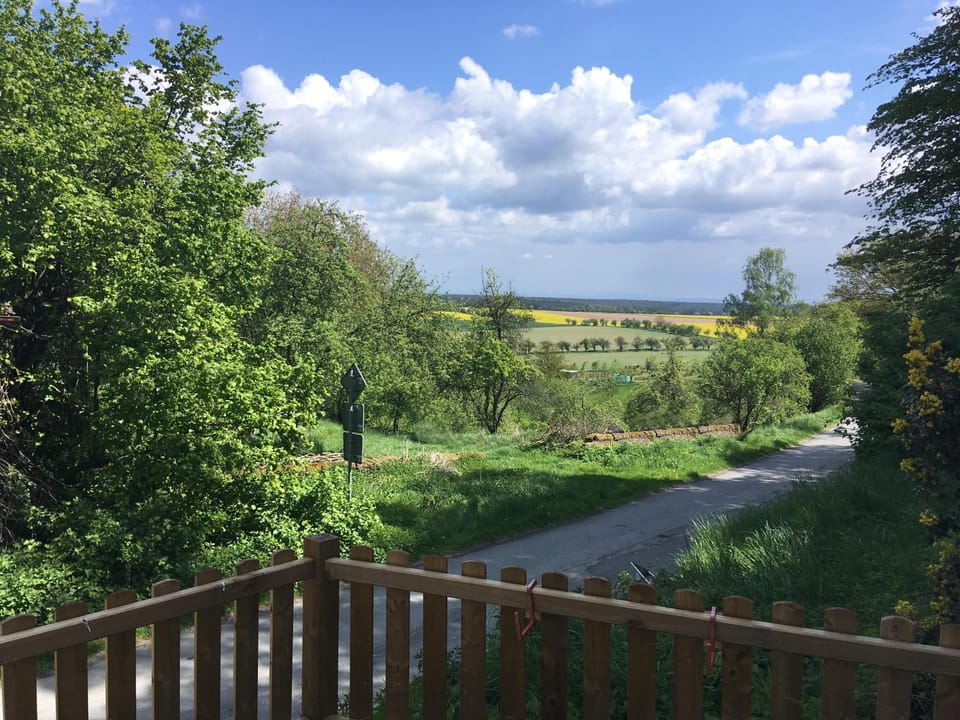Spring, Natural landscape, Garden view