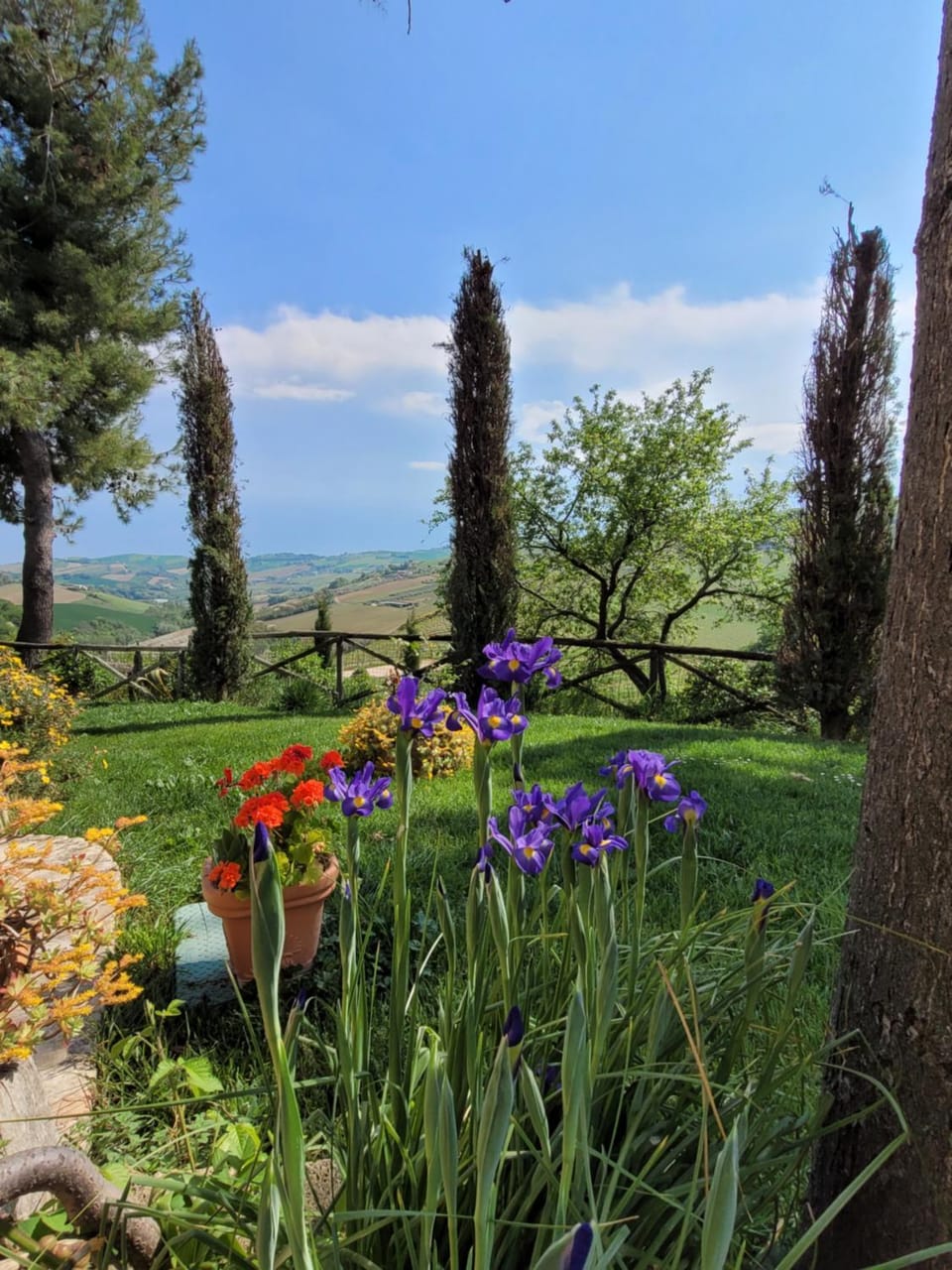 Garden view