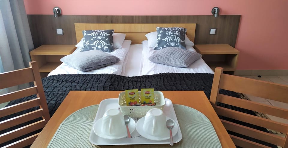 Comfort-24 Plus Apartment in Greater Poland Voivodeship
