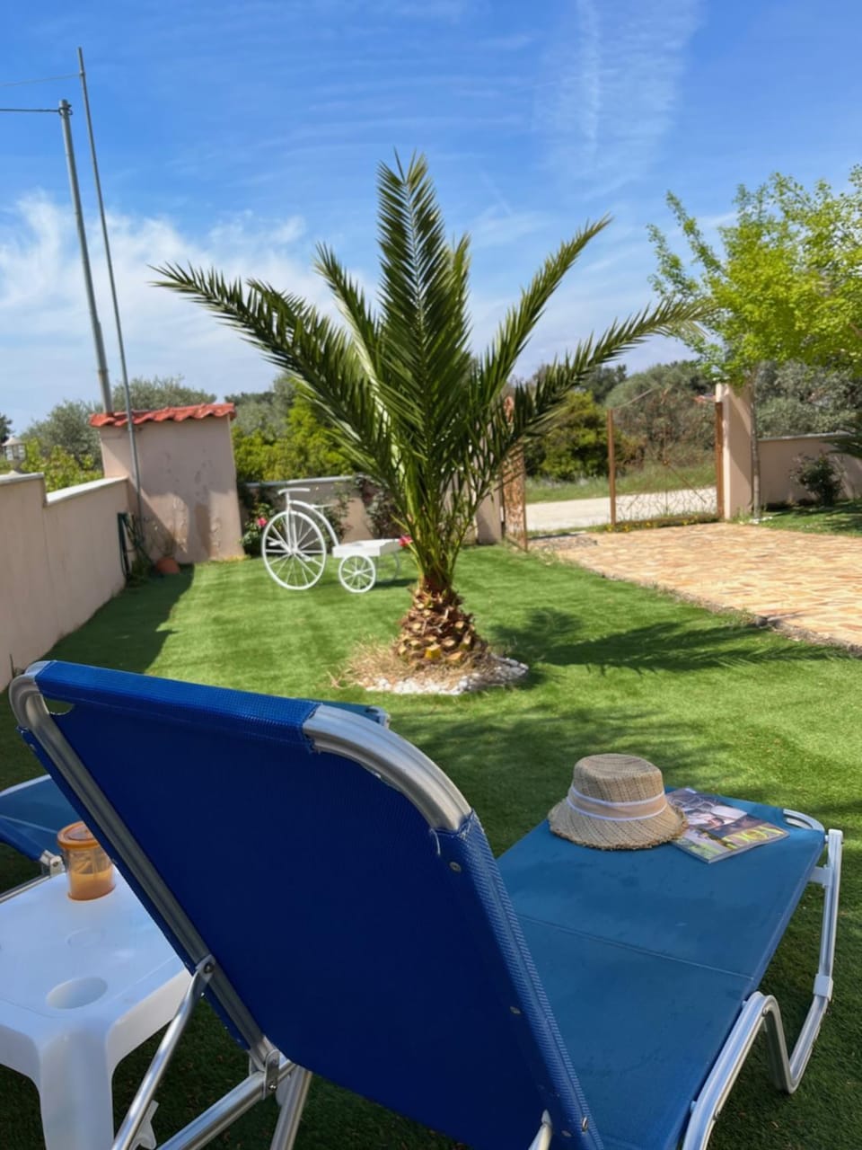 Garden, Garden view, sunbed