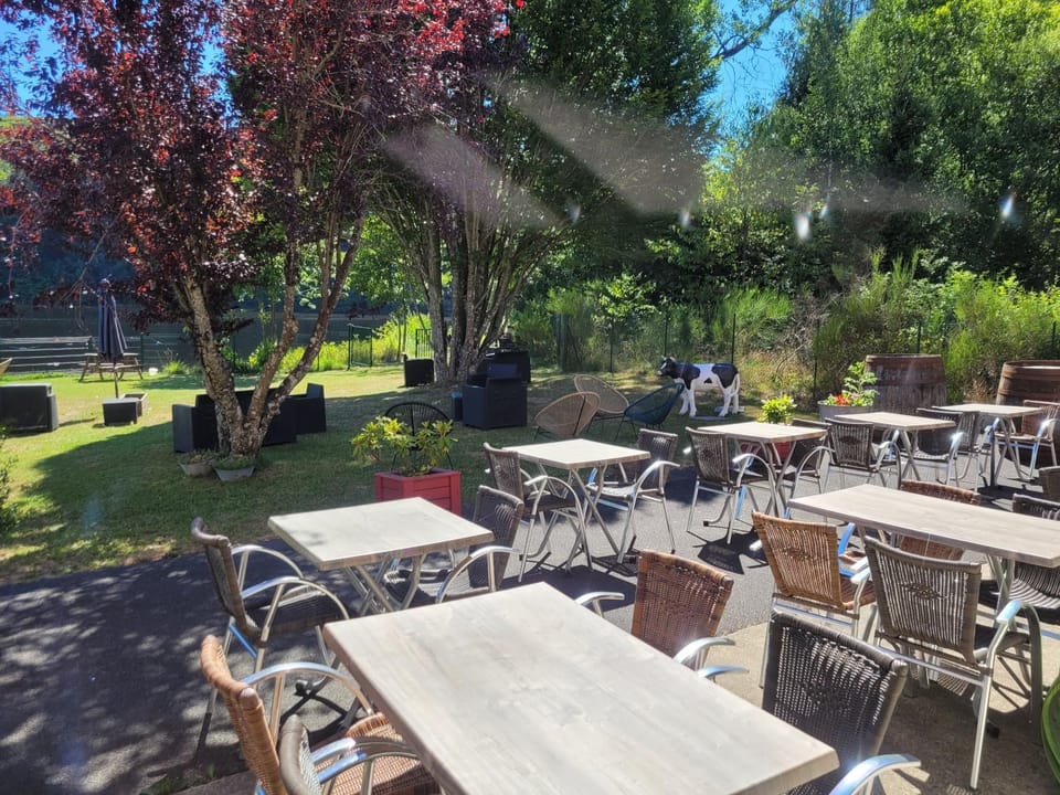 Restaurant/places to eat, Spring, Day, Natural landscape, Garden, Banquet/Function facilities, Garden view