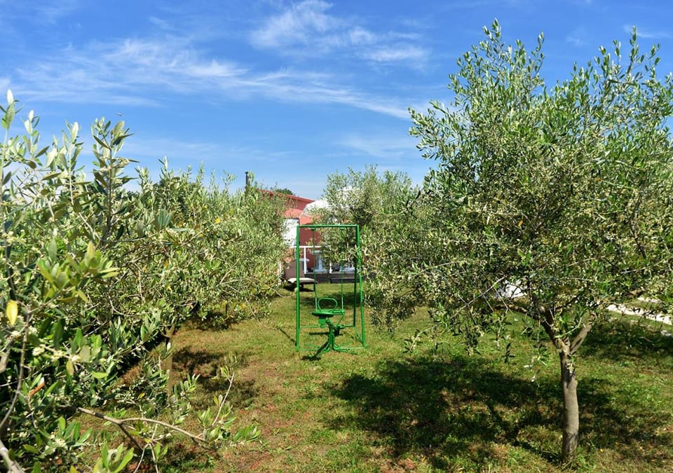 Day, Summer, On site, Garden view