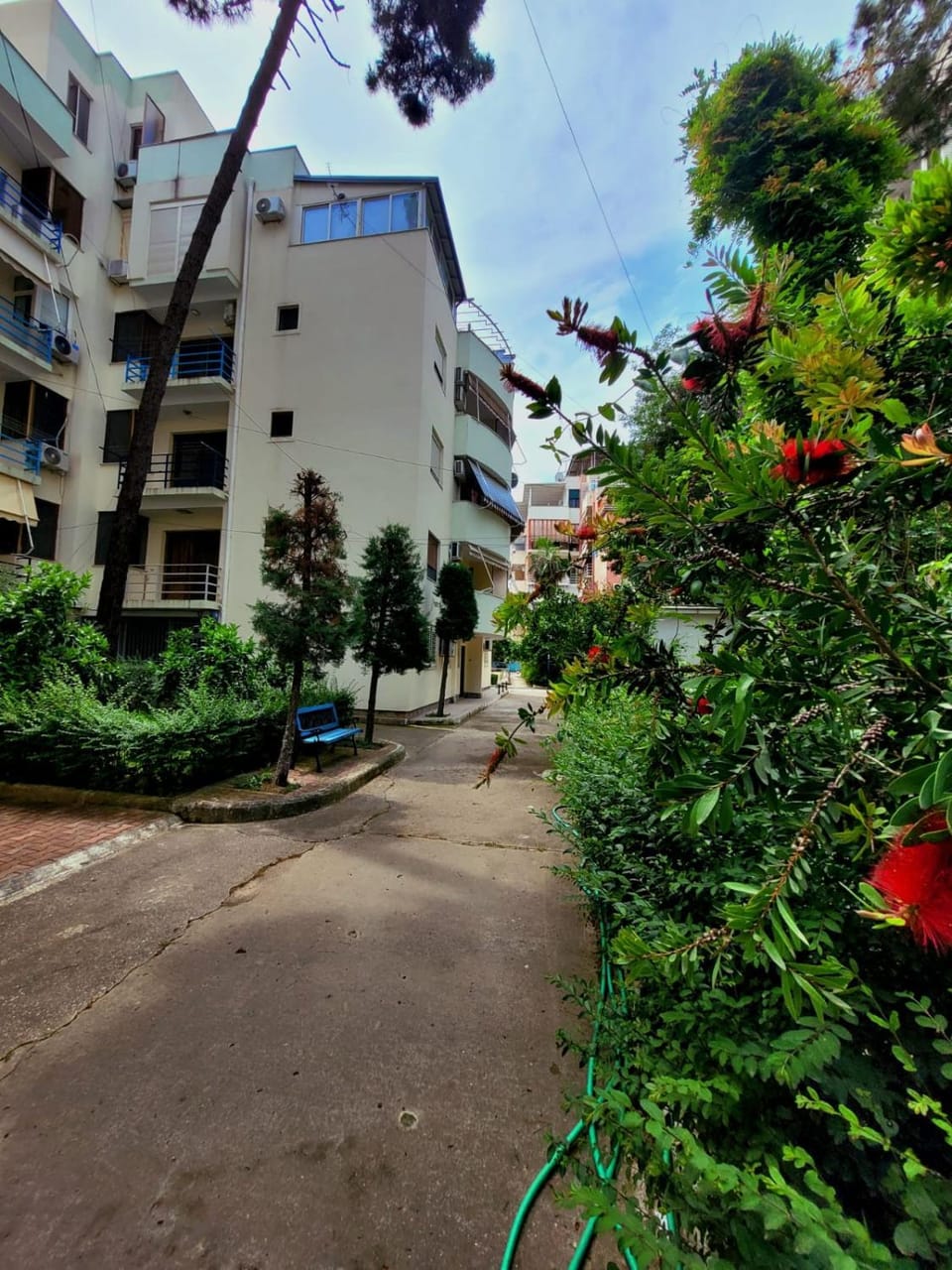 Property building, Neighbourhood, Garden view