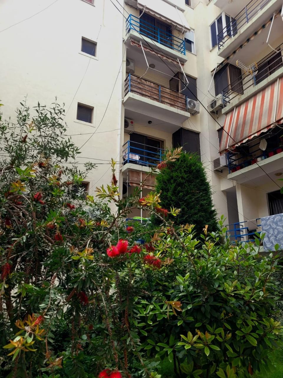 Property building, Neighbourhood, Garden, Garden view