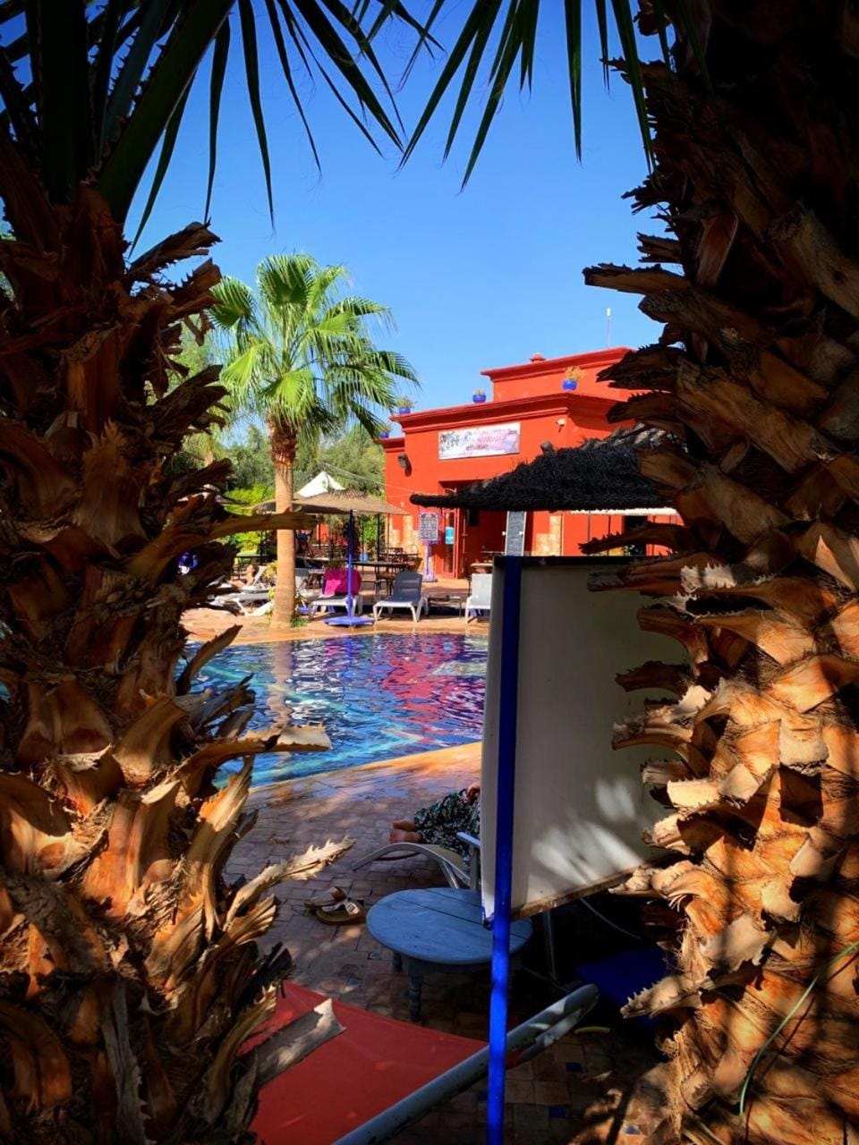 Activities, Garden, Pool view