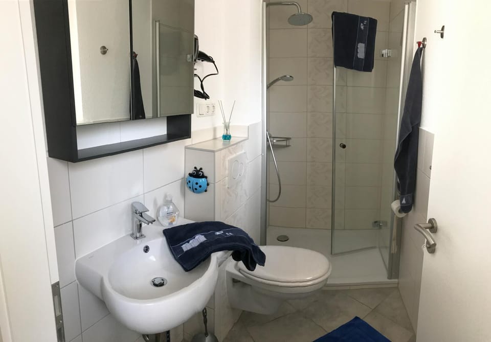 Shower, Toilet