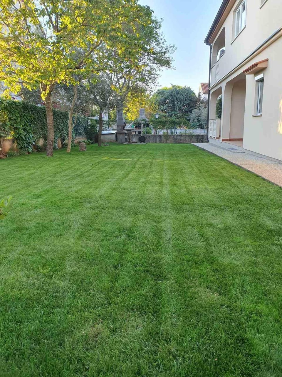 Spring, Day, Garden, Garden view