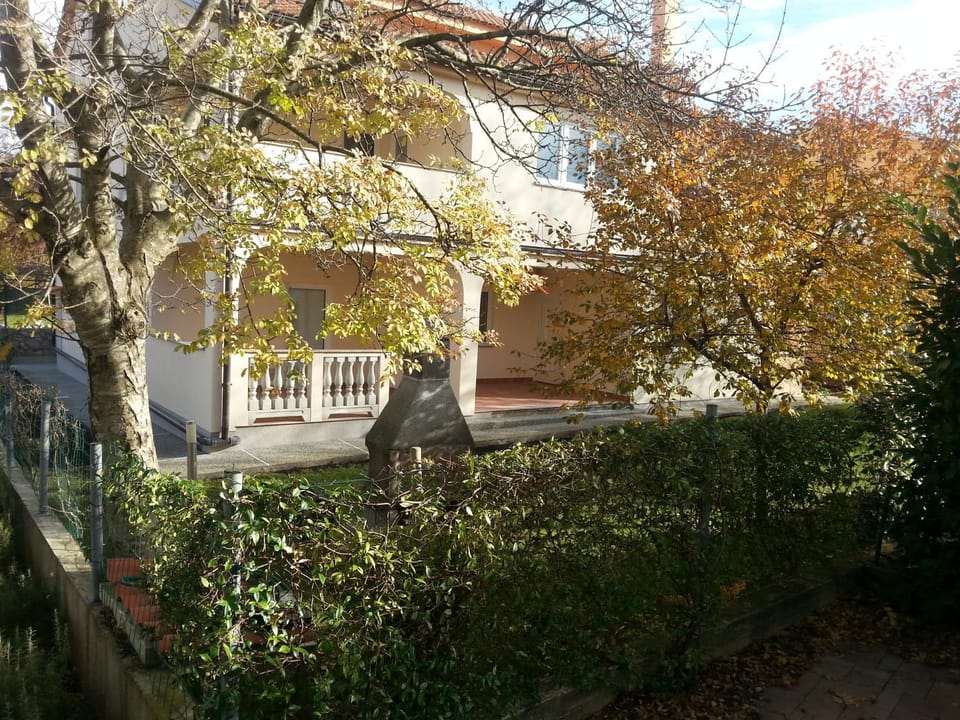 Day, Garden, Garden view