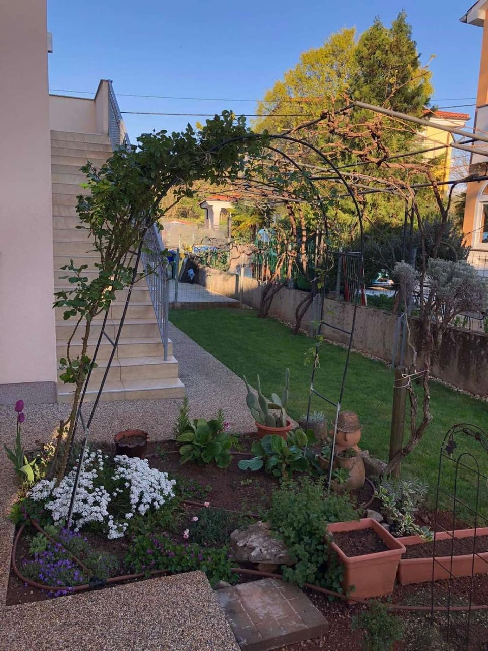 Spring, Day, Garden