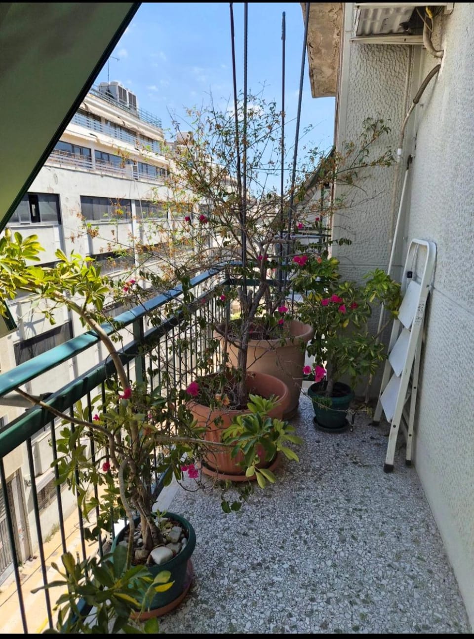 Pnyka Apartment 1 Apartment in Athens