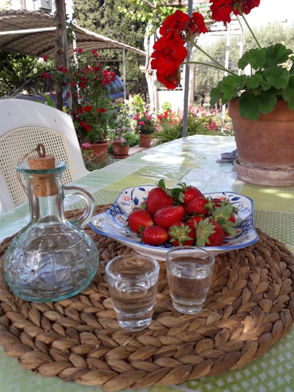 Garden