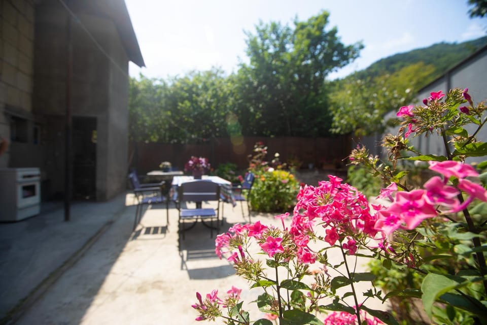 Spring, Day, Natural landscape, Garden, Garden view, Mountain view