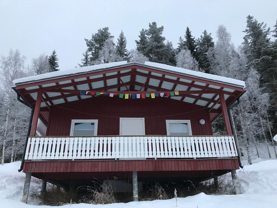 Winter