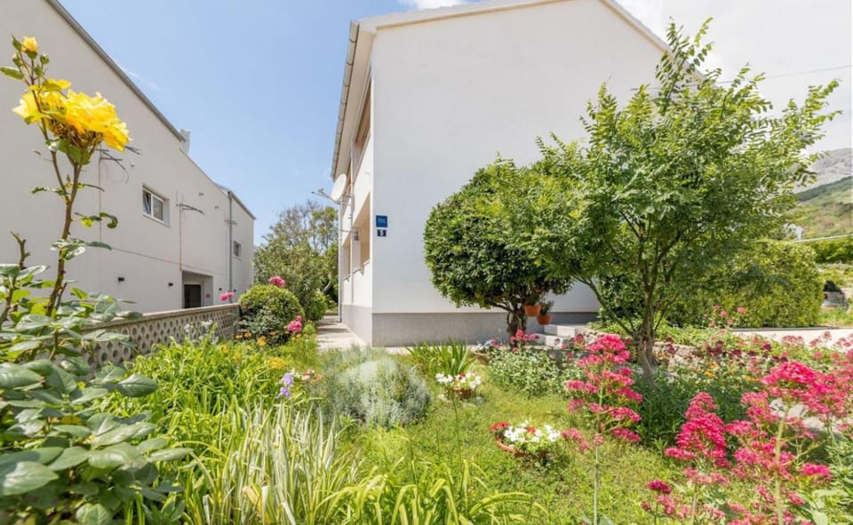 Property building, Facade/entrance, Garden
