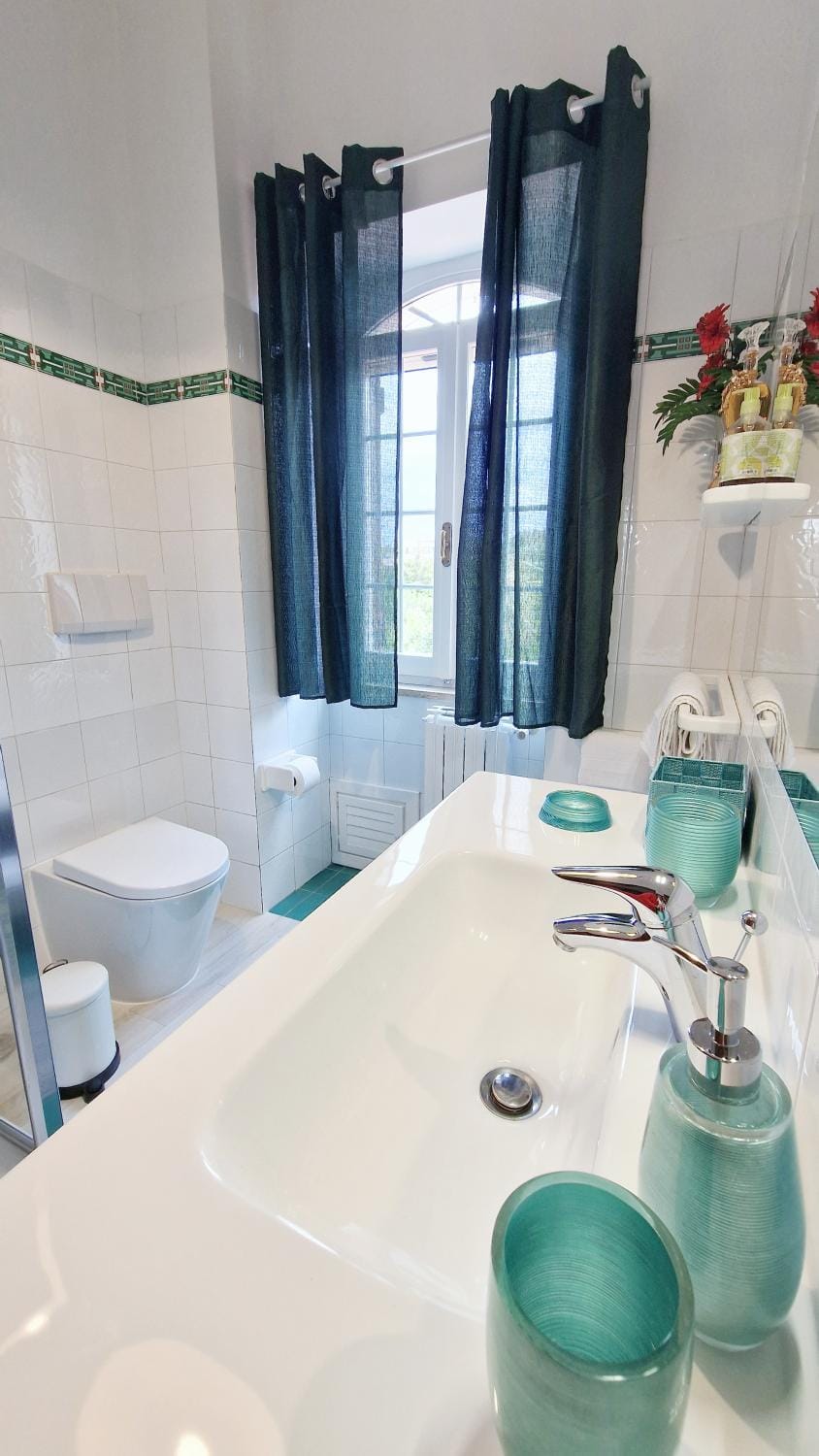 Toilet, Bathroom, towels