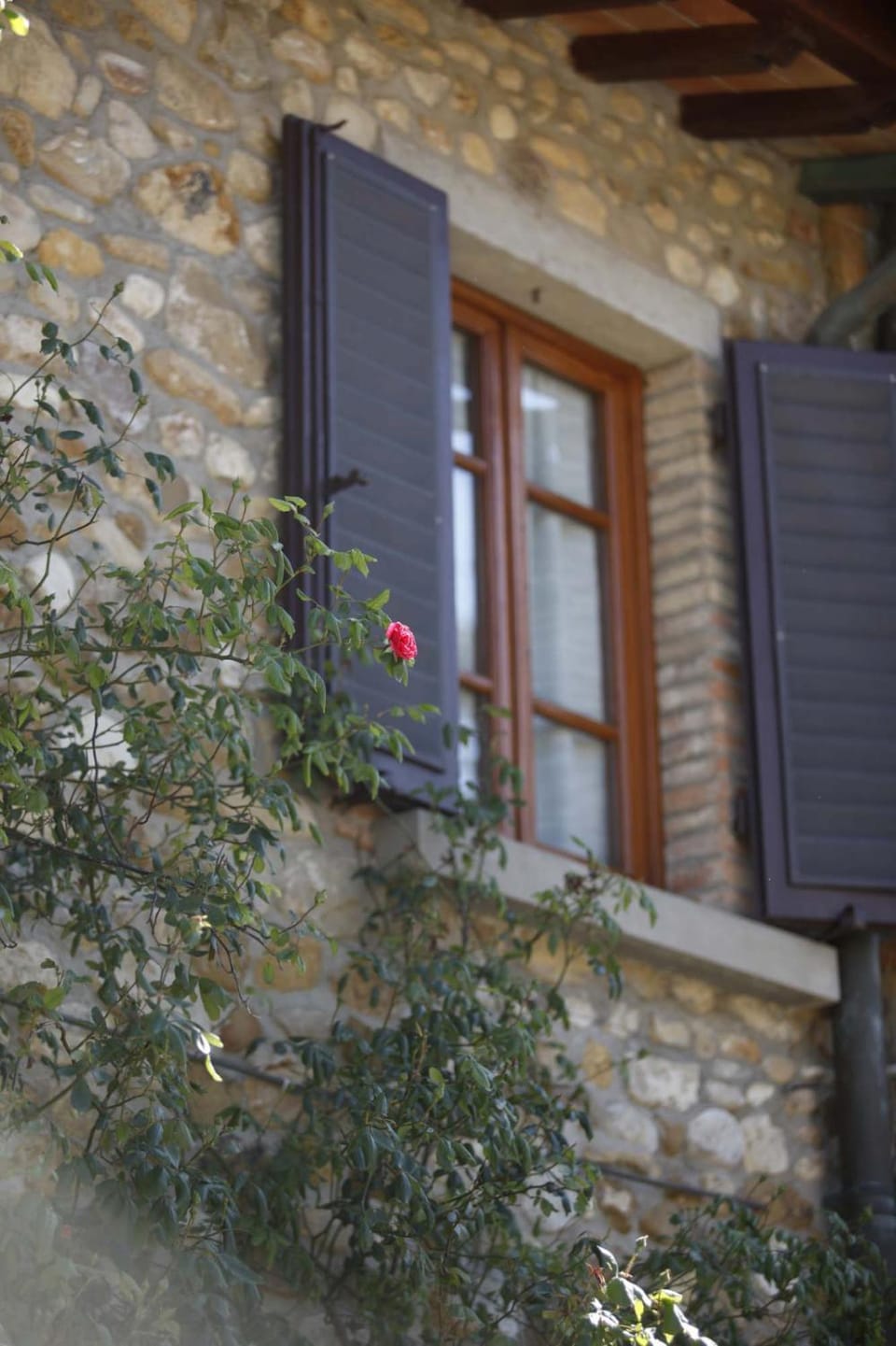 Sweet in Chianti House in San Casciano Val Pesa